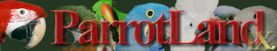http://www.parrotland.hu